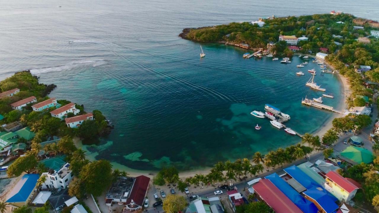 Mame Trees Otel West End Dış mekan fotoğraf